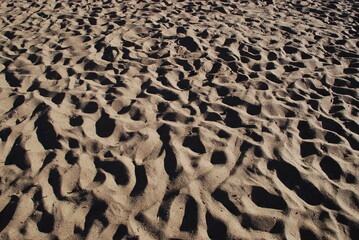 Beach sand with dents from the feet. Summer day the sun illuminates the crumbly light yellow dry sand on the beach. In some places, the remains of dried reed stick out from the sand.