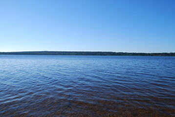 In the forest under the pines. A sunny summer day, a small slope on which trees, large pines and young deciduous trees grow, below the sand is partially overgrown with grass.