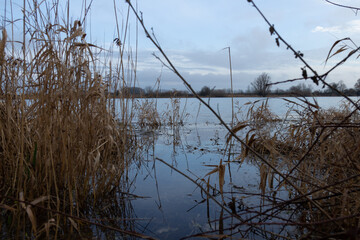 Lac en automne