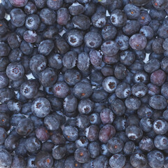 Full frame close-up view of a fresh blueberries