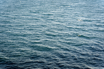 Sea water small blue waves texture, perspective, Adriatic sea, Slovenia Slovenija, Istria