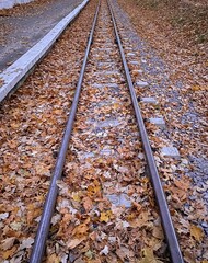 The railway tracks are strewn with fallen yellow leaves. Autumn background.