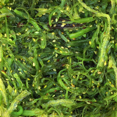 Full frame close-up view of a heathy seaweed salad