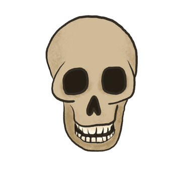 Cartoon human skull