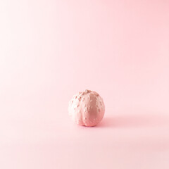 Christmas pumpkin on a light background. Soft and powdery. Pink composition.