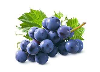 Bunch of blue grapes with leaves isolated on white background. Package design element with clipping...