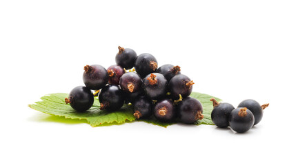 Currants with leaves.