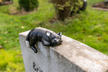schöne schwarze Katze liegt auf einem Grabstein