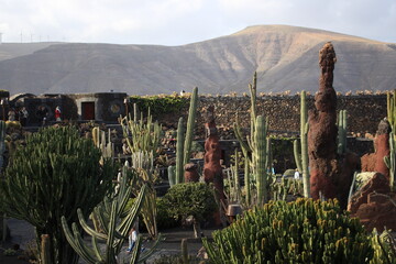 Jardin de Cactus - Lanzarote
