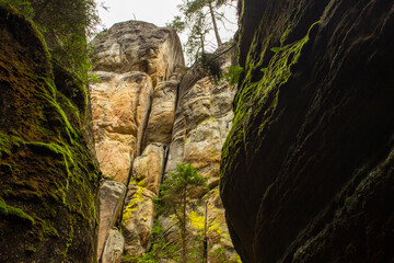 Yellow sandstone at the Adršpach-Teplice Rocks canyon view with beautiful light at Bohemia, Czech Republic