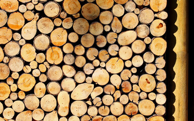 stack of pile firewood background