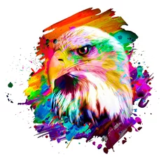 Poster eagle head with eyeglasses and creative abstract elements isolated on white background, close view  © reznik_val