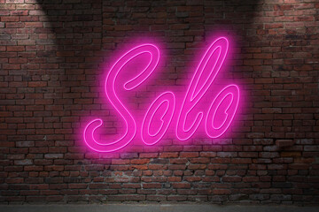 Neon group Solo sex lettering on Brick Wall at night - obrazy, fototapety, plakaty