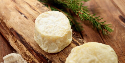 round shape goat cheese closeup selective focus, farm cheeses.