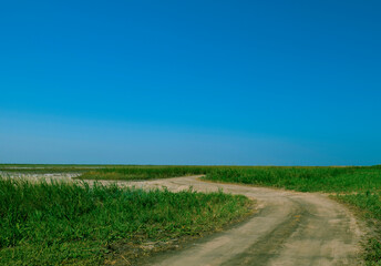 Fototapeta na wymiar Long curved road in a green field. Summer landscape