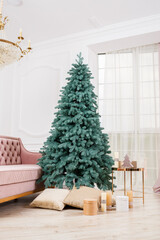Christmas tree close-up without toys with gifts. Good New Year spirit. Green Christmas tree in home interior