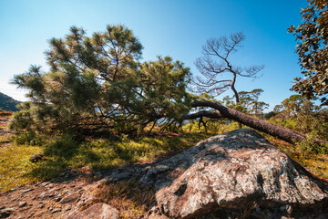 Perseverance is the right state of mind