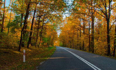 Droga do jesieni