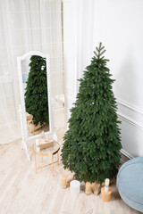 Christmas tree close-up without toys with gifts. Good New Year spirit. Green Christmas tree in home interior