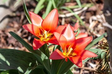 Ontario Storms and Landscapes