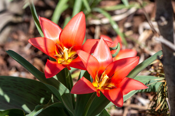 Ontario Storms and Landscapes