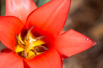 Ontario Storms and Landscapes