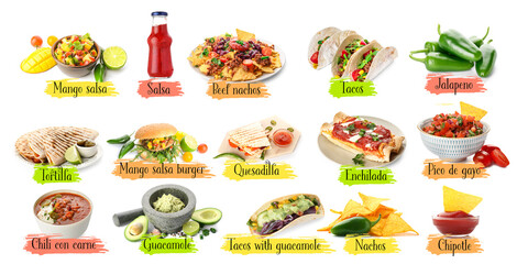 Collection of popular Mexican food on white background