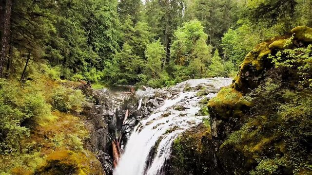waterfall in the forest