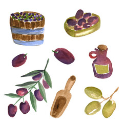 watercolor set of olives and olives on a branch olive oil