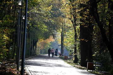 Zdjęcie przedstawiające ludzi idących aleją w parku wśród drzew - obrazy, fototapety, plakaty