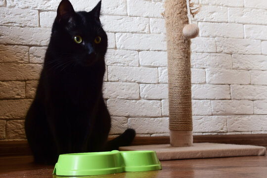 A Black Cat With Yellow Eyes On The Background Of A Kitchen Wall Looks Out From Behind A Scratching Post And Looks At The Camera