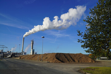 Harvested sugar beets (Beta vulgaris) on a large pile for further processing. In background the sugar factory with smoking chimney and white smoke clouds up to high sky. Nordstemmen, Germany.