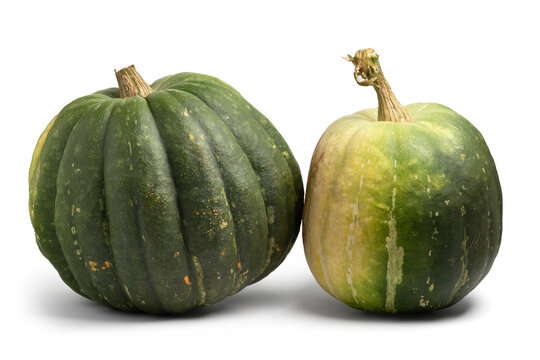 Two green pumpkins isolated on white with shadows