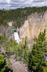 yellowstone river and falls ingrand canyon in Yellowstone National Park in Wyoming