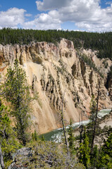 yellowstone river and falls ingrand canyon in Yellowstone National Park in Wyoming