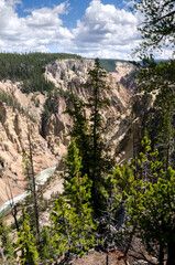 yellowstone river and falls ingrand canyon in Yellowstone National Park in Wyoming