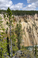 yellowstone river and falls ingrand canyon in Yellowstone National Park in Wyoming
