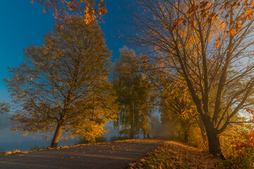 Obraz premium Cycle route with color autumn trees in fresh foggy sunrise morning