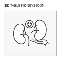 Transplantation line icon. Kidney donation.Transplanting healthy internal organ from one person to another. Treatment and surgery.Healthcare concept.Isolated vector illustration.Editable stroke