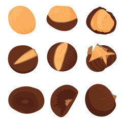 A set of roasted chestnuts vector stock illustration. Street fast food. Chuseok food. Isolated on a white background.