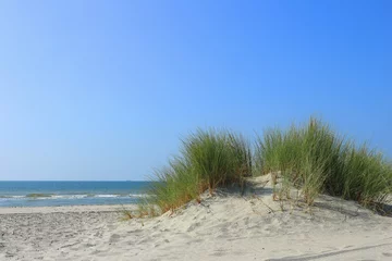 Fototapeten Dünen und Strand bei Westenschouwen © Frofoto