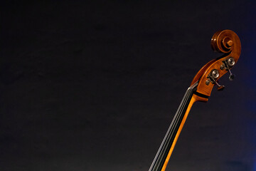 The neck, scroll and pugs seen of an acoustic double bass with a gray wall in the background
