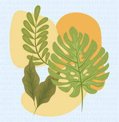 Obraz premium branches leaves nature