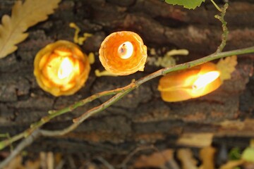Beeswax candles burning in the forest