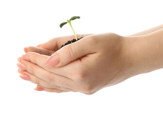 Woman holding green seedling with heap of soil on white background