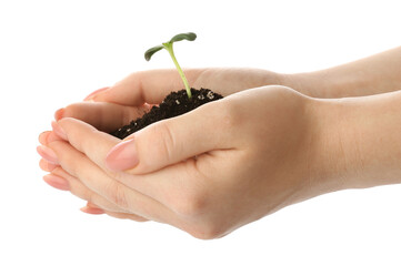 Woman holding green seedling with heap of soil on white background