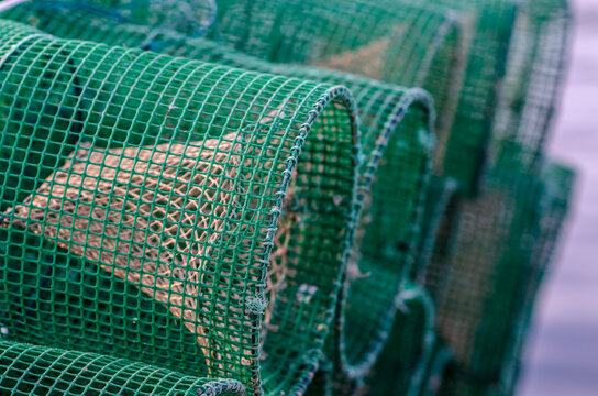 These pots for lobsters / crabs: fishing with pots is an ancient technique practiced in particular for catching fish, cephalopods or crustaceans such as lobsters and shrimps.