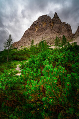 Hiking to the Rotwand Meadows in  South Tyrol.