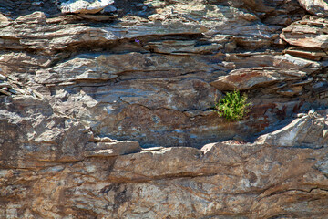Ida Mountain-Kaz Daglari  (in Turkish: Kazdagi, meaning Goose Mountain), Turkey.