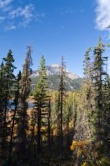 Autumn in the Mountains